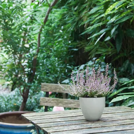 Citypension Konukevi 3*