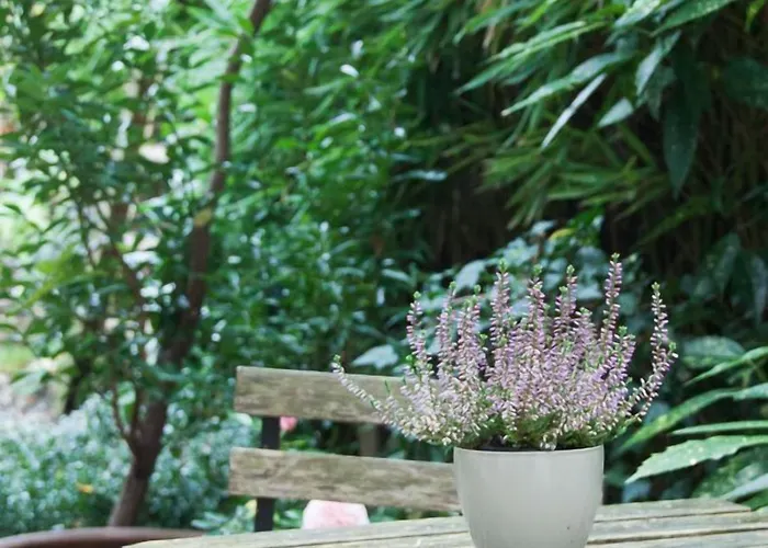 Citypension Gasthof 3*