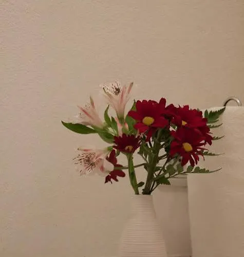 Citypension Gasthof 3*